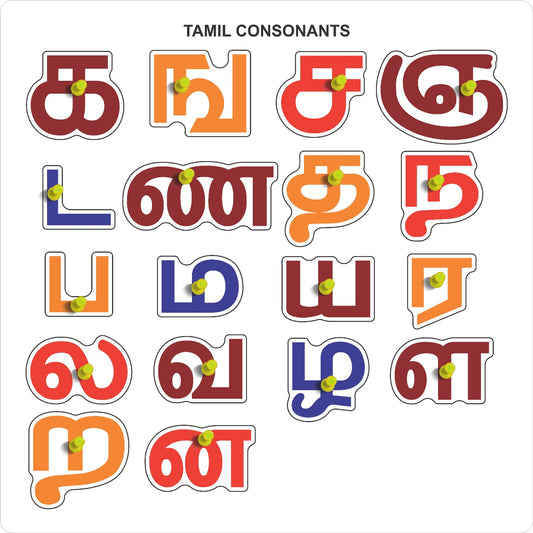 Tamil Consonants Letter Puzzle Board l Educational Puzzle